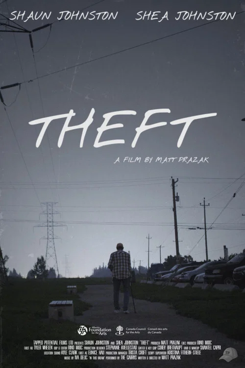 Постер: Theft