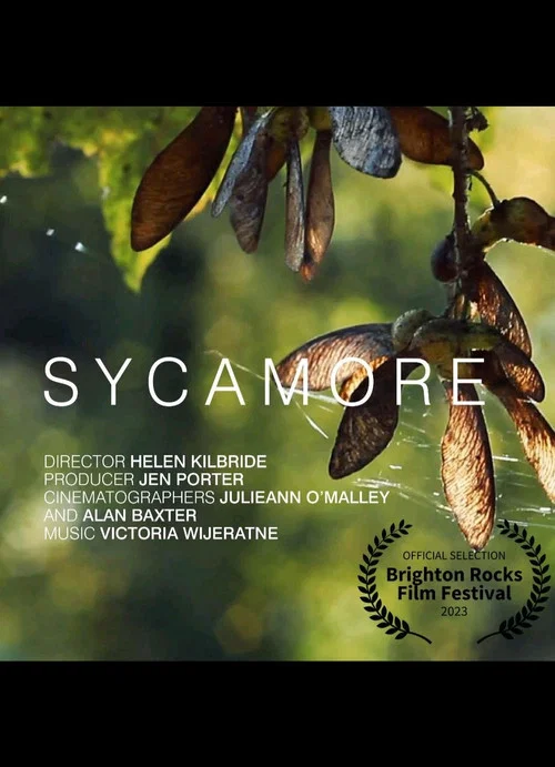 Постер: Sycamore