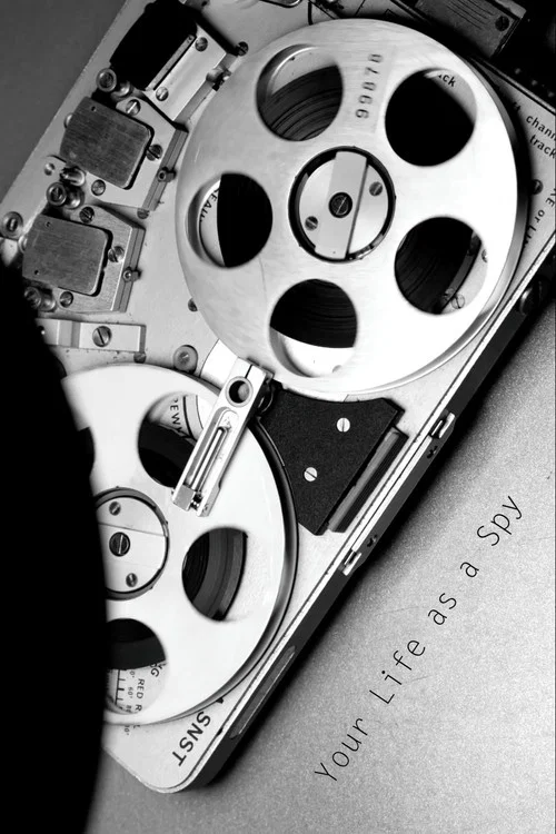 Постер: Your Life as a Spy