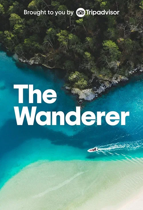 Постер: The Wanderer