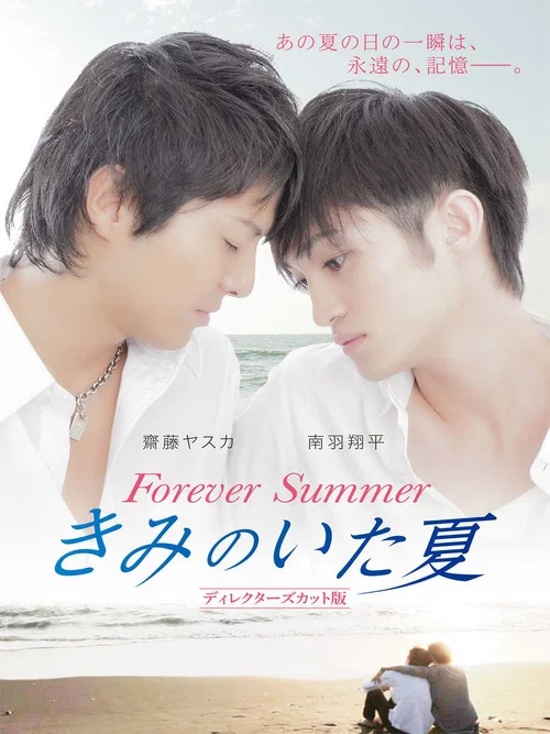 Постер: きみのいた夏 ディレクターズカット版