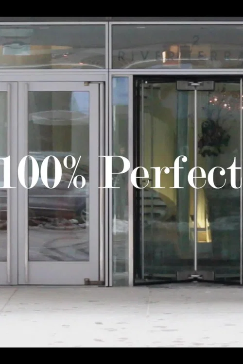 Постер: The 100% Perfect Girl