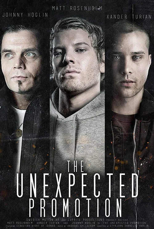 Постер: The Unexpected Promotion
