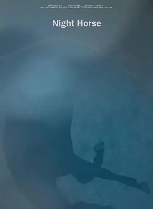 Постер: Night Horse