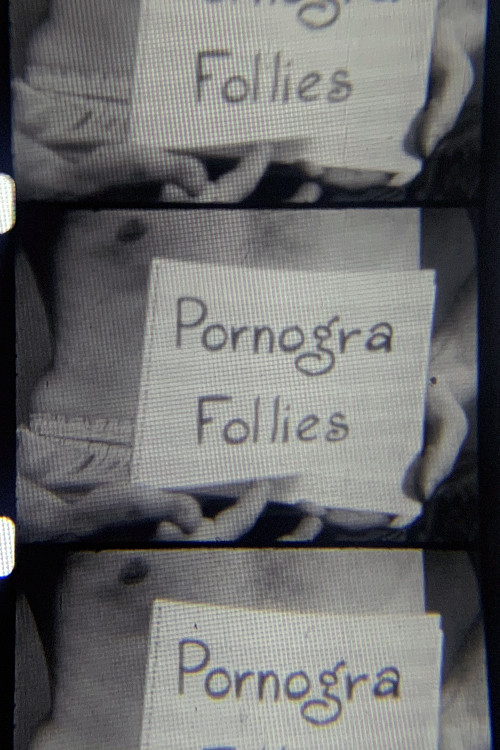 Постер: Pornogra Follies