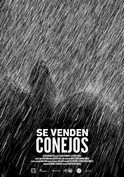 Постер: Se venden conejos