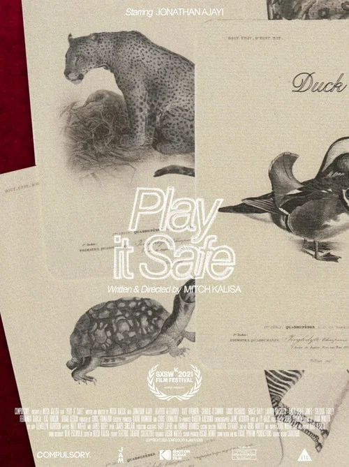 Постер: Play It Safe