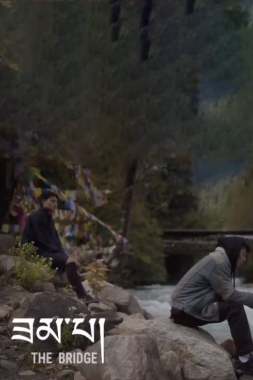 Постер: The Bridge