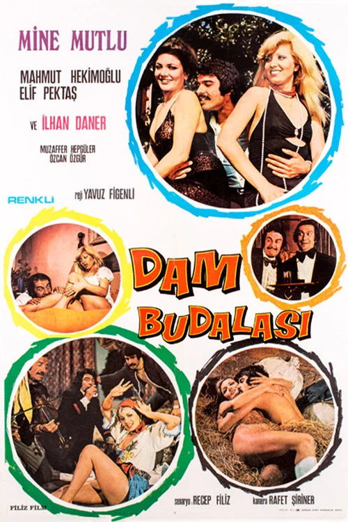 Постер: Dam Budalasi