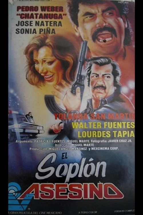 Постер: El soplón asesino