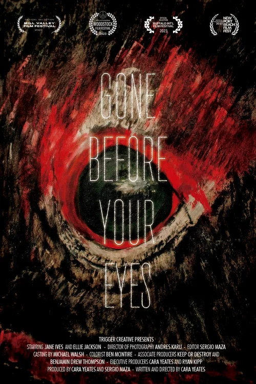 Постер: Gone Before Your Eyes