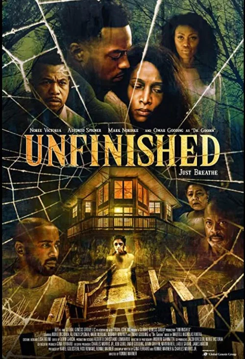 Постер: Unfinished