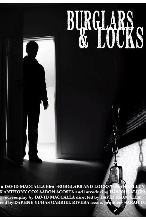 Постер: Burglars & Locks
