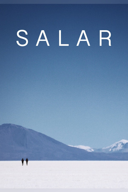 Постер: Salar