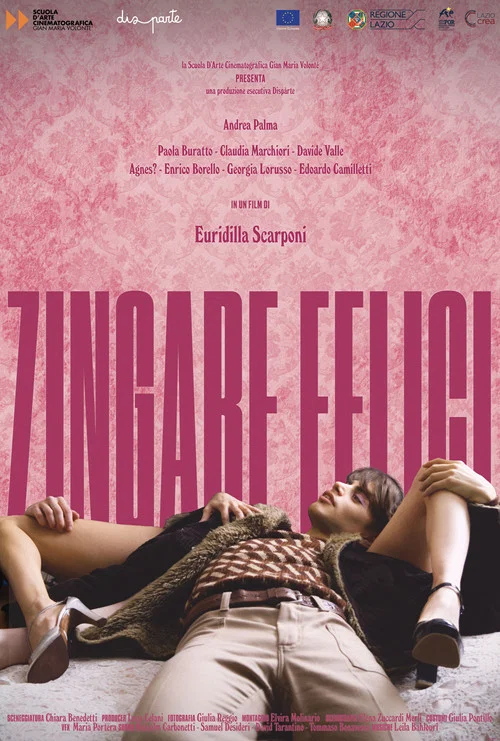 Постер: Zingare Felici