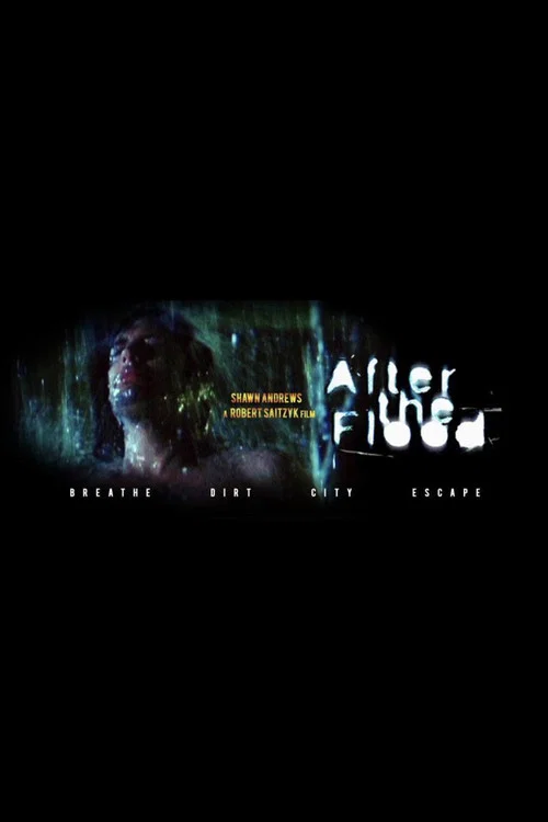 Постер: After the Flood