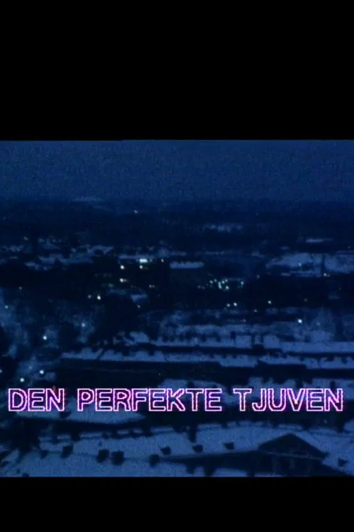 Постер: Den perfekte tjuven