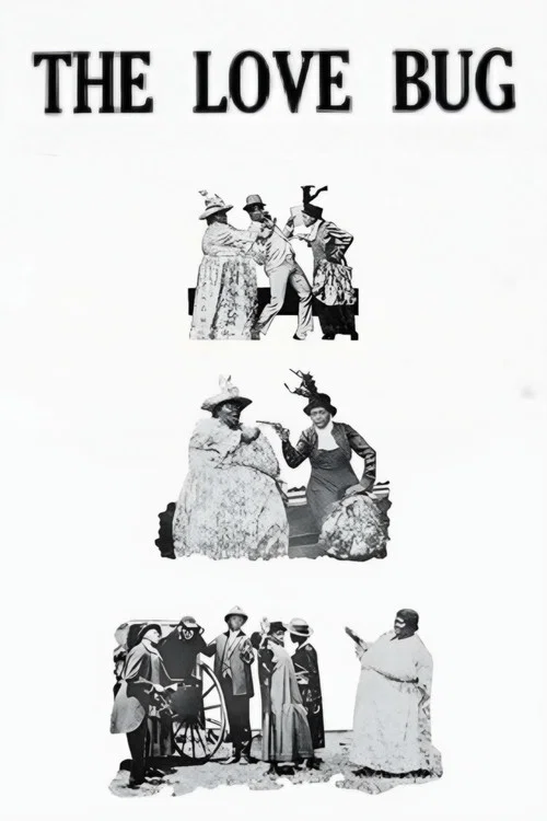 Постер: The Love Bug