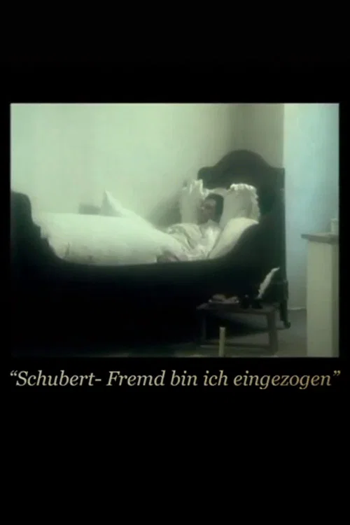 Постер: Fremd bin ich eingezogen
