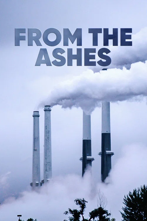 Постер: From the Ashes