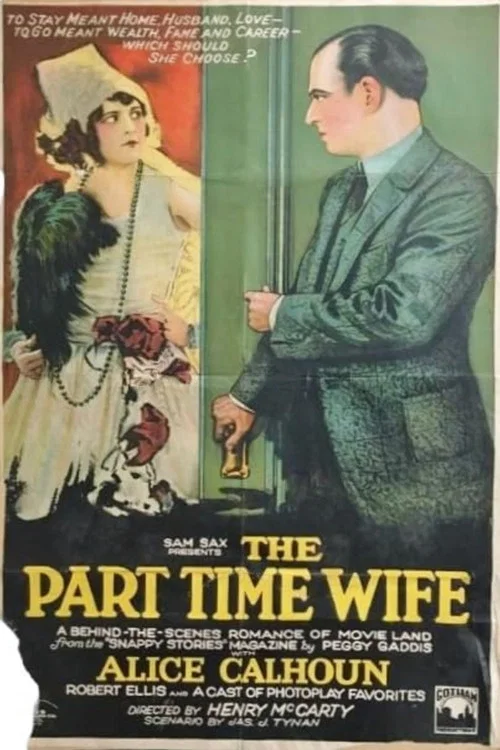 Постер: The Part Time Wife