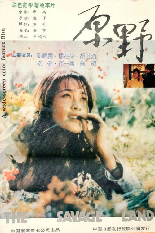 Постер: Yuan Ye