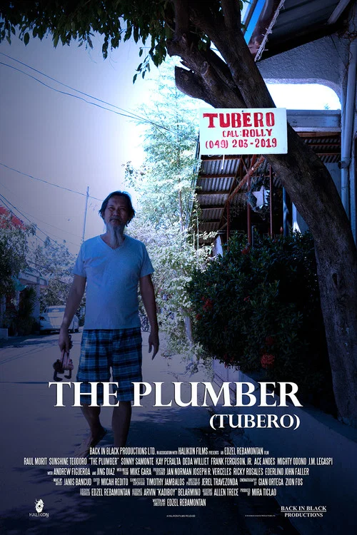 Постер: The Plumber