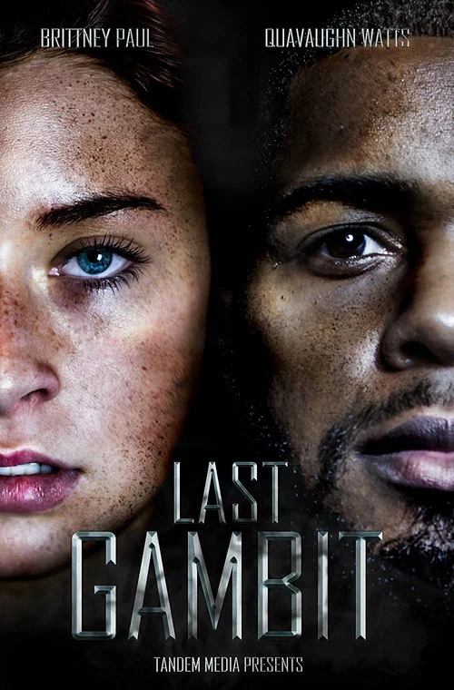 Постер: Last Gambit