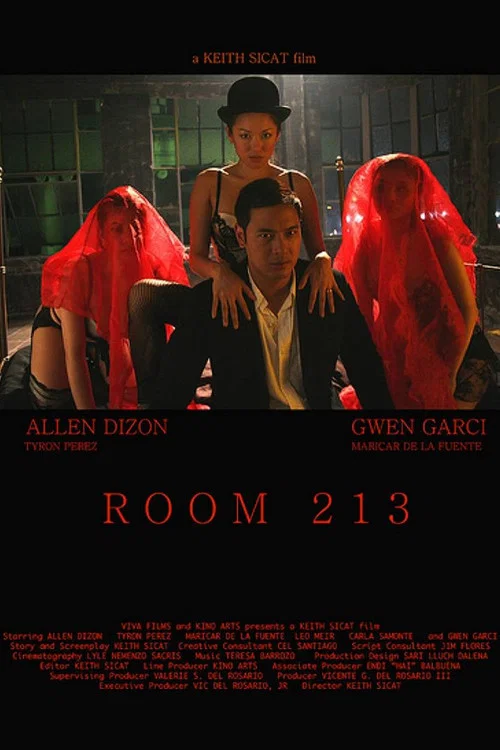 Постер: Room 213