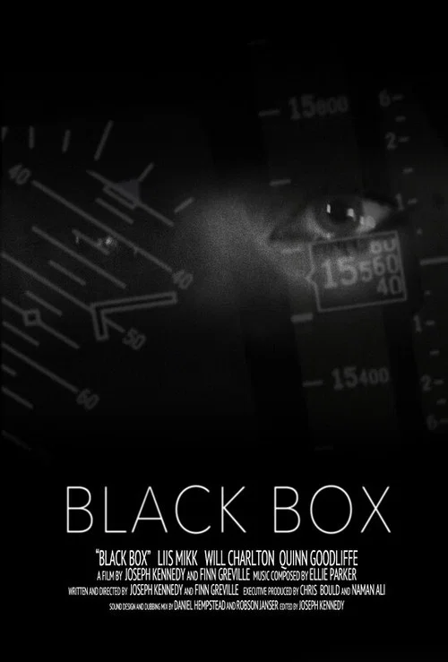 Постер: Black Box