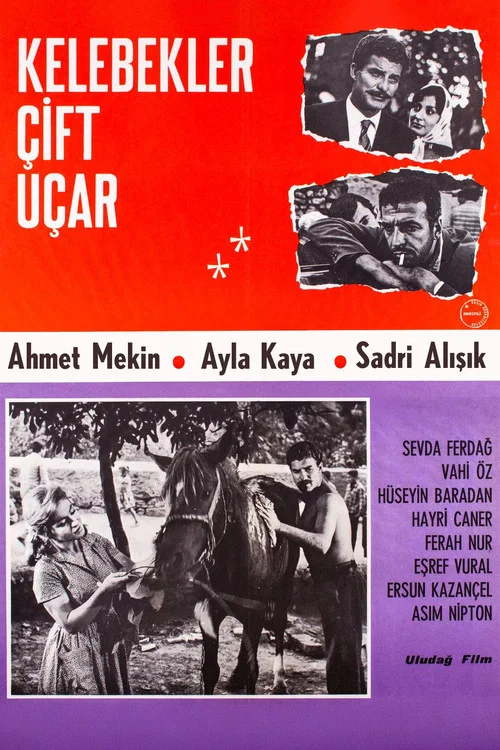 Постер: Kelebekler çift uçar