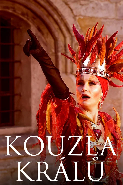 Постер: Kouzla králu