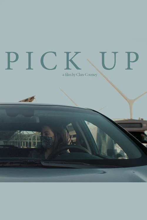 Постер: Pick Up