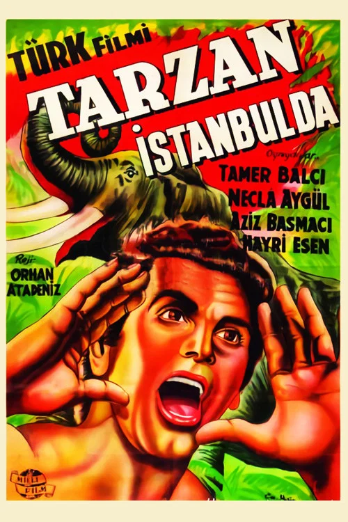 Постер: Tarzan Istanbulda