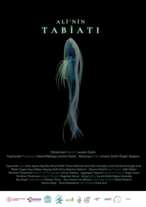 Постер: Ali'nin Tabiati