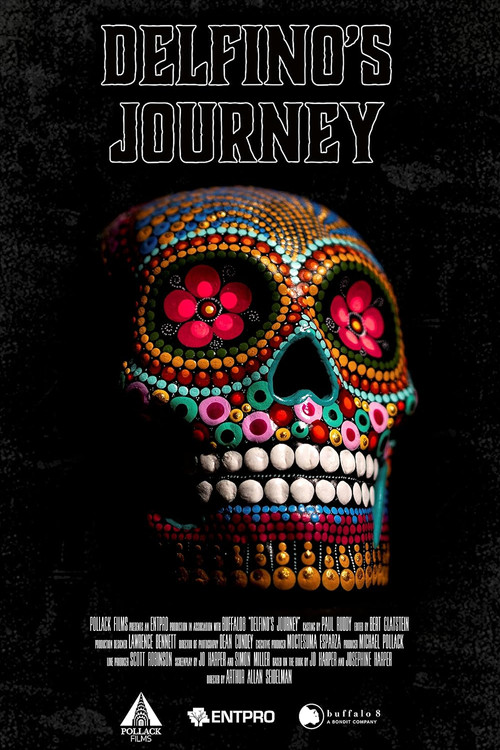 Постер: Delfino's Journey