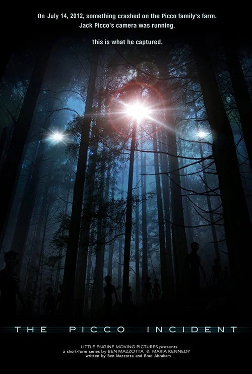 Постер: The Picco Incident