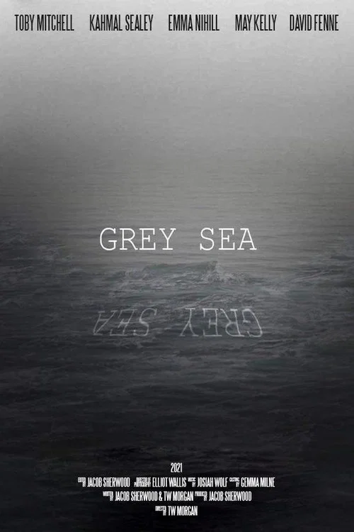 Постер: Grey Sea