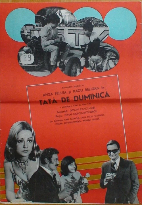 Постер: Tata de Duminica