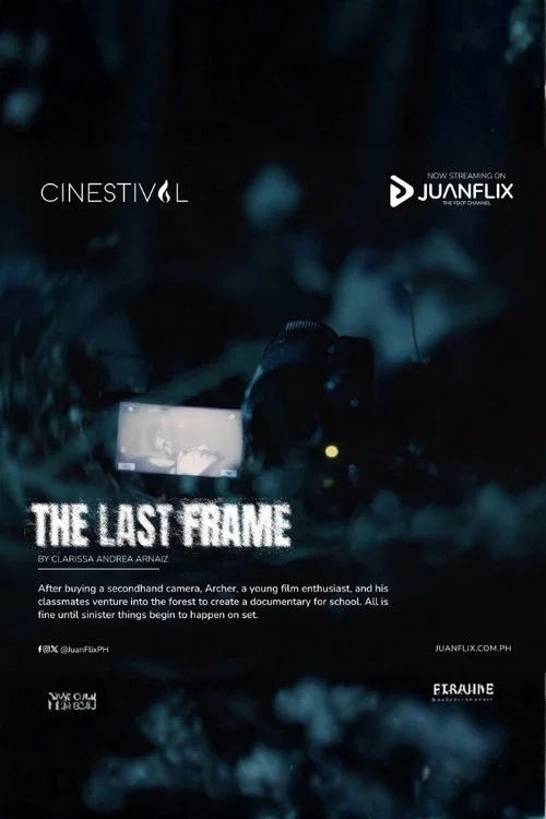 Постер: The Last Frame