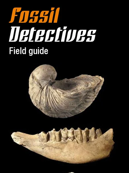 Постер: Fossil Detectives
