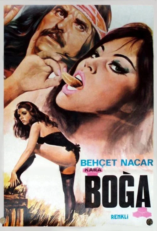 Постер: Kara Boğa