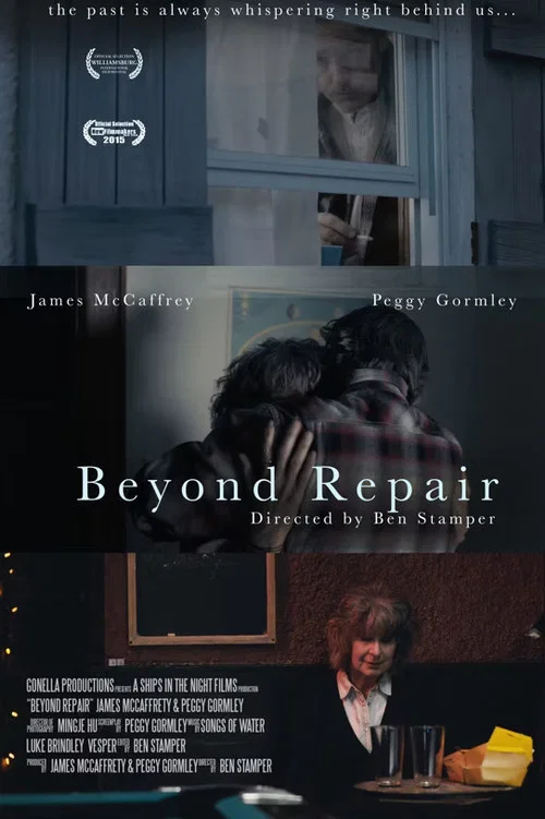 Постер: Beyond Repair