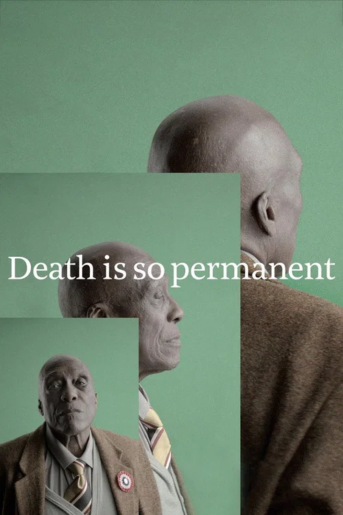 Постер: Death is so permanent