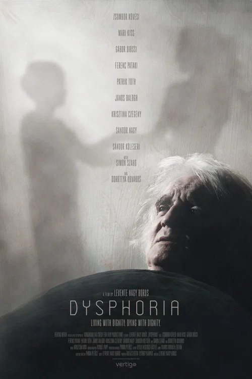 Постер: Diszfória