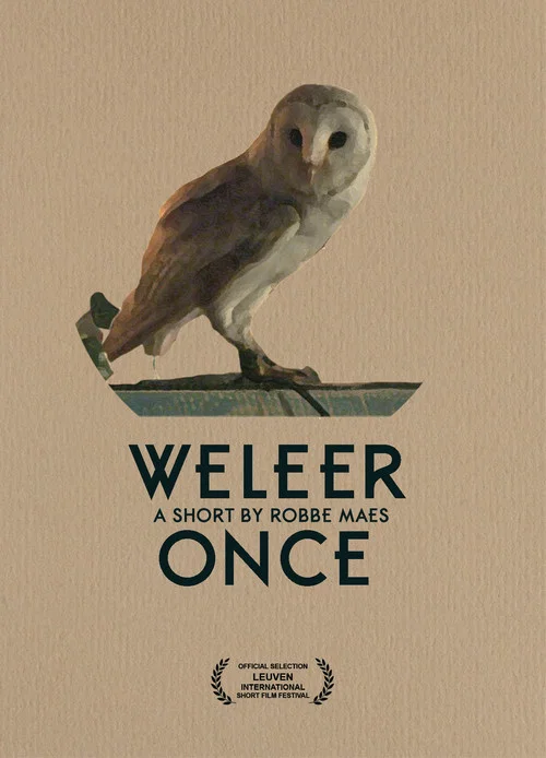 Постер: Once