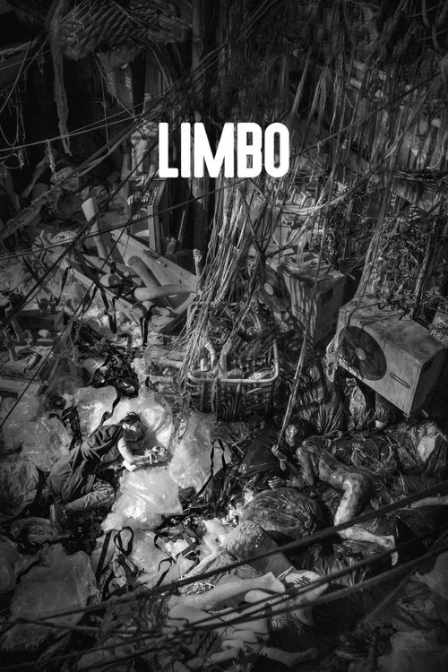 Постер: Limbo