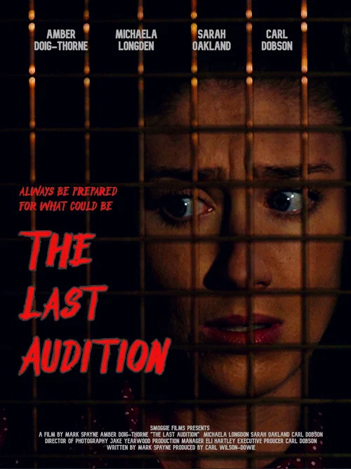Постер: The Last Audition