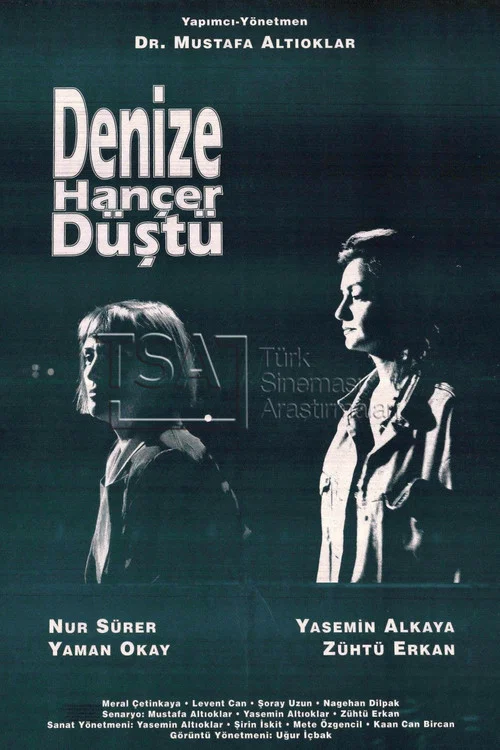 Постер: Denize Hançer Düstü