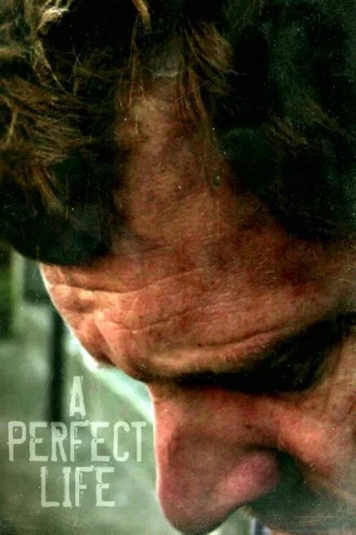 Постер: A Perfect Life